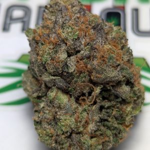 Laughing Buddha (AAA)- Sativa